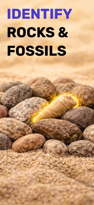 Identify rocks and fossils hero screen with a glowing fossil among stones