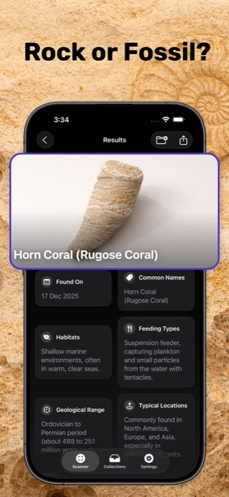 Rock or fossil result screen identifying a Horn Coral with geological range and habitat facts