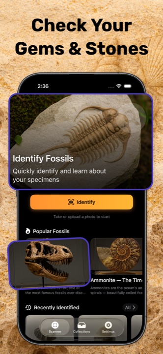Fossil Identifier home screen with a large Identify button and popular fossils