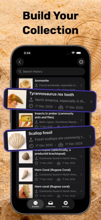 Collection screen with saved fossils including ammonite and T-Rex tooth