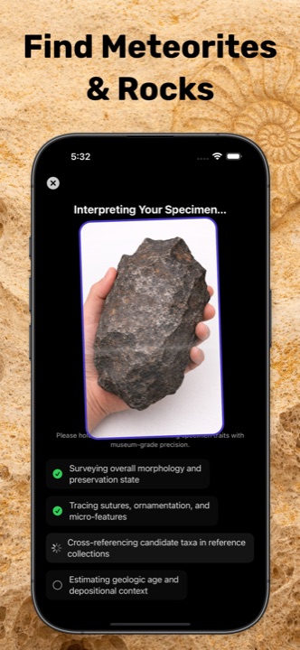 Museum-grade scan flow interpreting a meteorite specimen